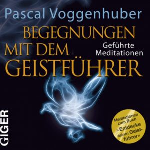 Begegnungen mit dem Geistführer - Pascal Voggenhuber